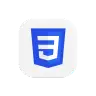 CSS